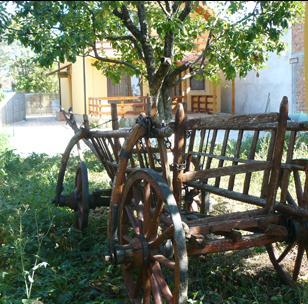 Vila Korona Satu Mare Exterior foto